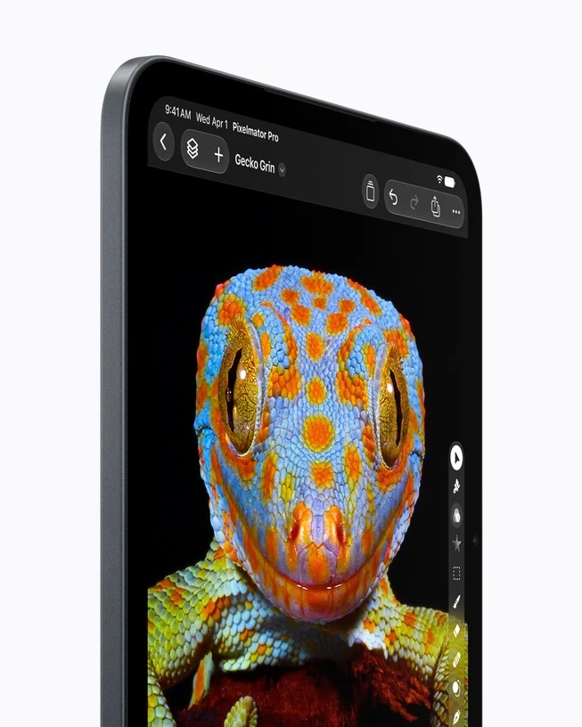The new iPad mini displaying a close-up photograph of a colourful gecko on its OLED screen.