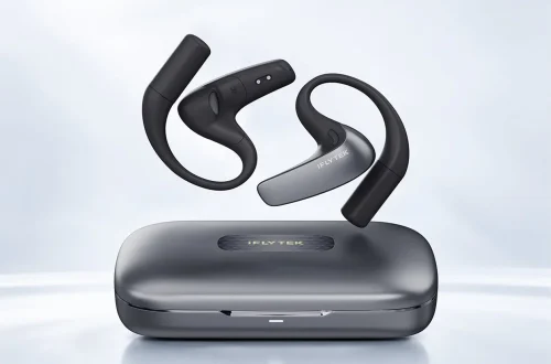 iFLYTEK earbuds and case