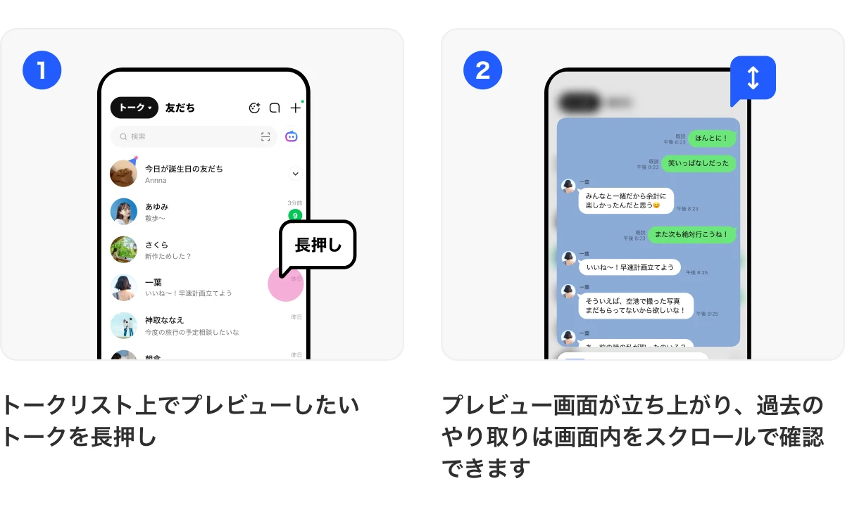 Preview gesture instructions
