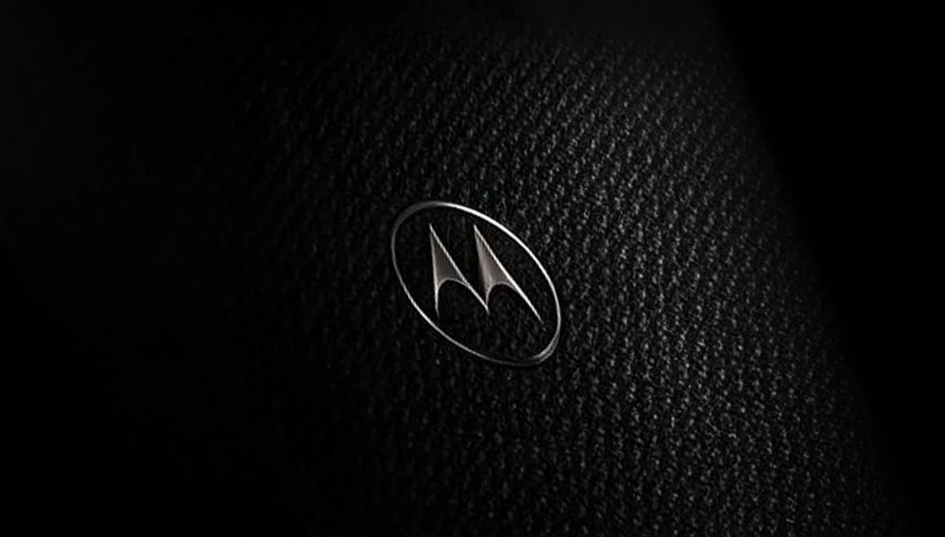 Signature 27 rear texture
