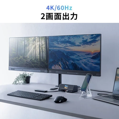 Sanwa dual-monitor illustration.